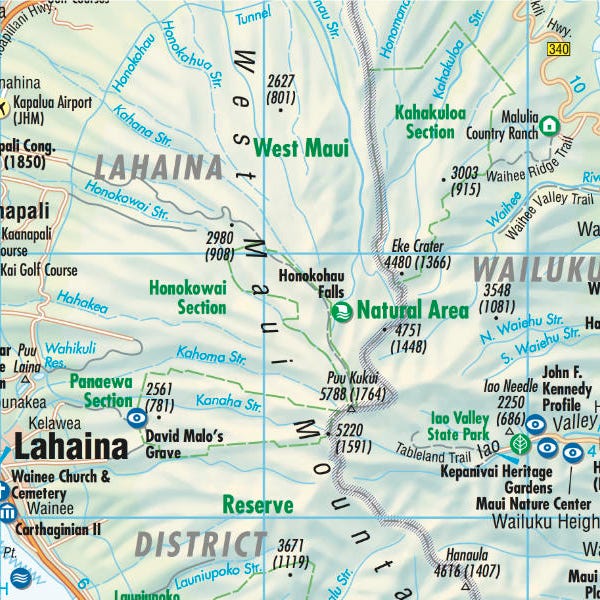Hawaiian Islands Borch Map view