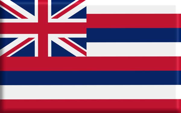 Flag of Hawaii 